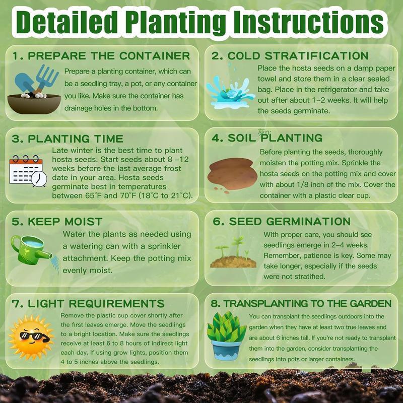 🔥Καυτές Προσφορές - 49% ΕΚΠΤΩΣΗ🔥🌱Μεικτοί Σπόροι Τριαντάφυλλου - Χωρίς ΓΤΟ, Εύκολο στην Καλλιέργεια, Όμορφα Πολυετή Άνθη-GR