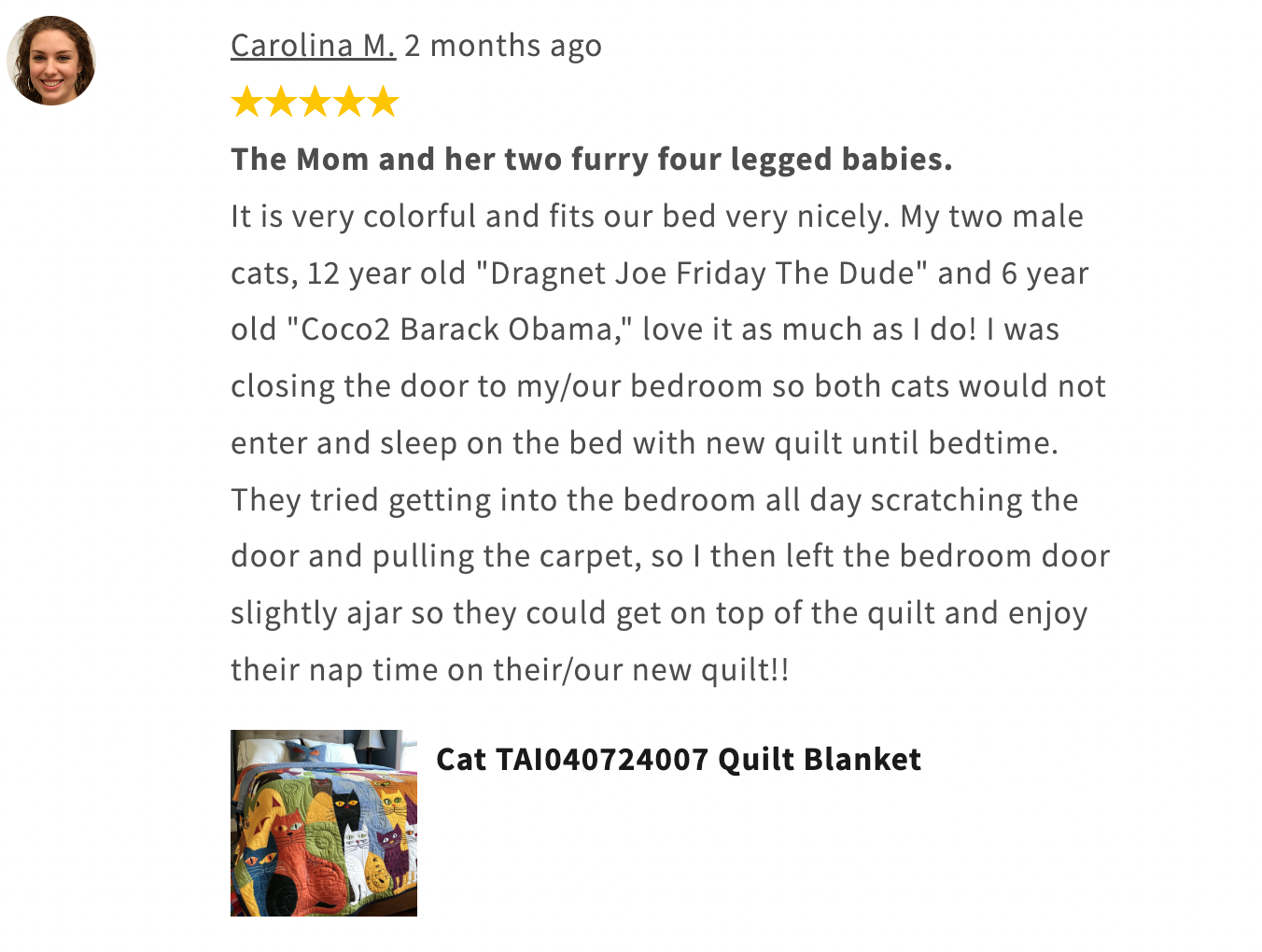 Cat - art patchwork, quilt-SI