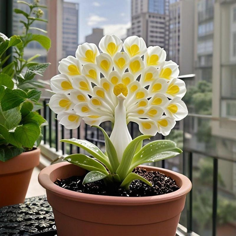 💠 “La reina de las flores fragantes: bulbos de orquídea pavo real para un jardín de lujo”-ES