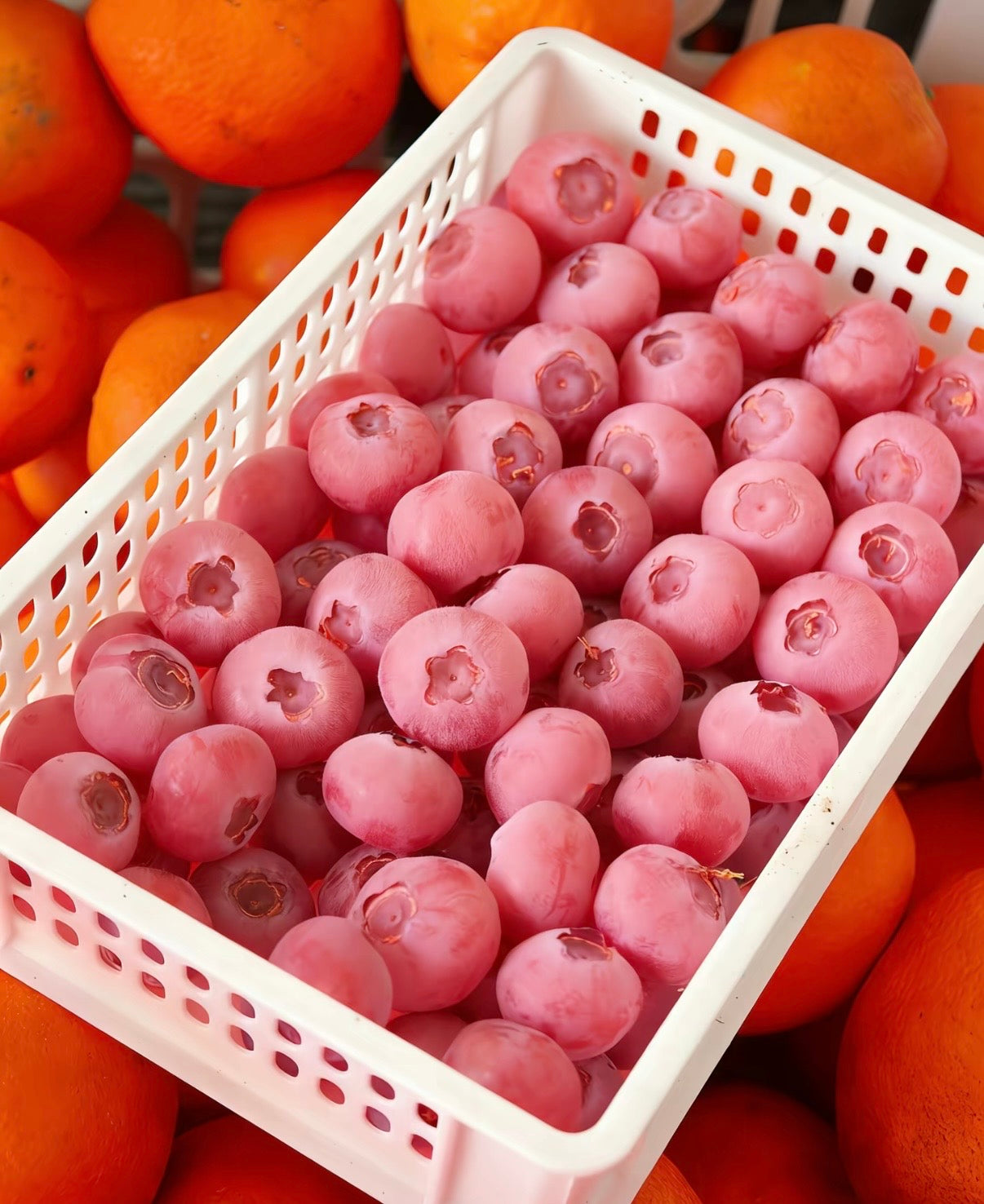 „Pink Bliss“ mėlynių sėklos – dvigubas saldumas-LT