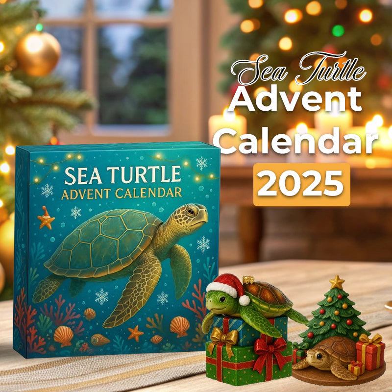 🌊🐢 Adventni koledar morskih želv 2025-GR