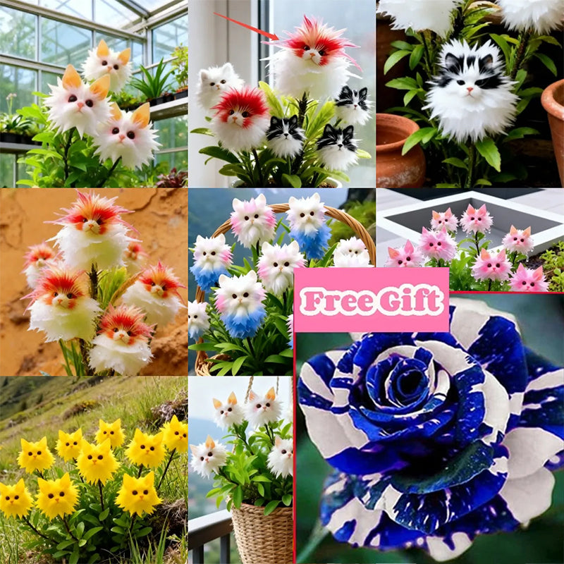 Μαγικά φυτά! Η εκθαμβωτική σειρά "Cat's Eye"✨-GR