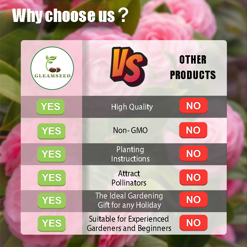 ✨Semillas de flores de camelia: 8 colores románticos, la belleza de la floración invernal-ES