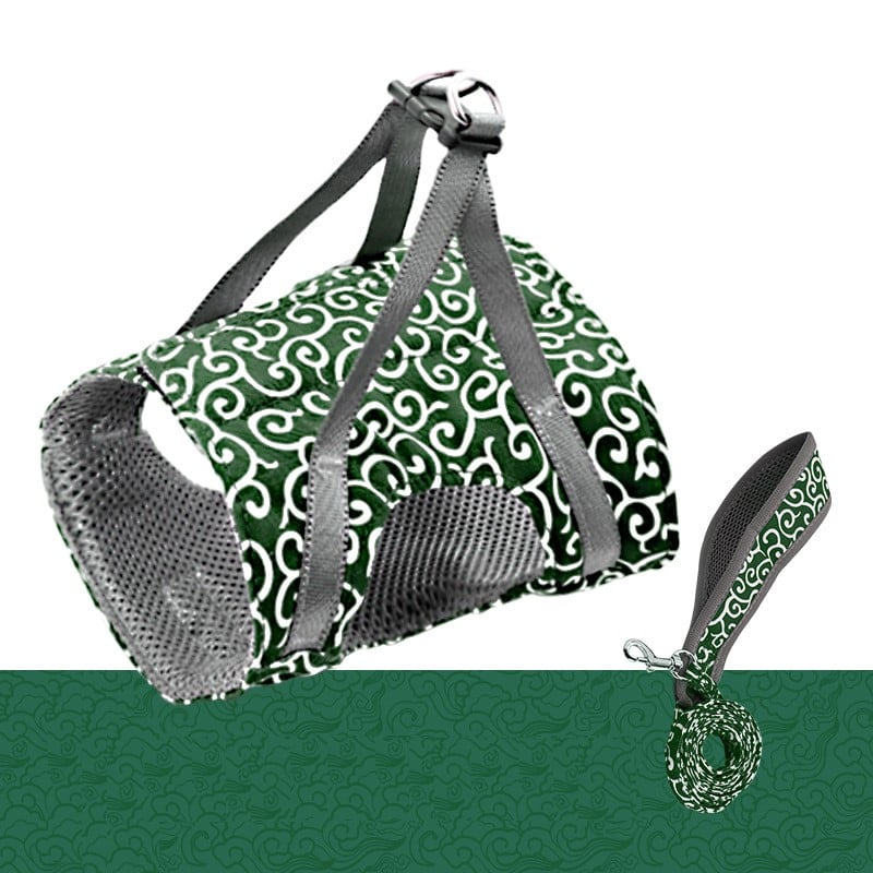 Correa para mascotas con correa para el pecho y cinturón.-ES