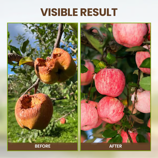 🔥KUPI 1, DOBI 1 GRATIS🔥 Sredstvo za rahljanje tal, ki izboljša lastnosti tal-SI