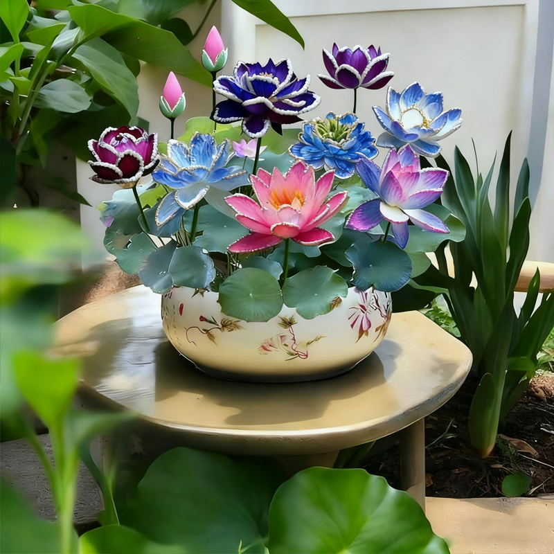 💮Semena polnočno vijoličnega lotosa-SI