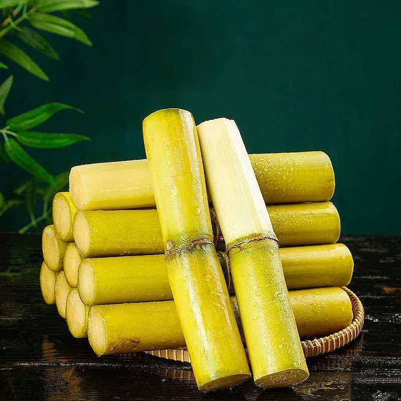 🌱 Σπόροι ζαχαροκάλαμου υψηλής απόδοσης – εύκολοι στην καλλιέργεια και την επιβίωση, ιδανικοί για φύτευση φρούτων στο σπίτι-GR