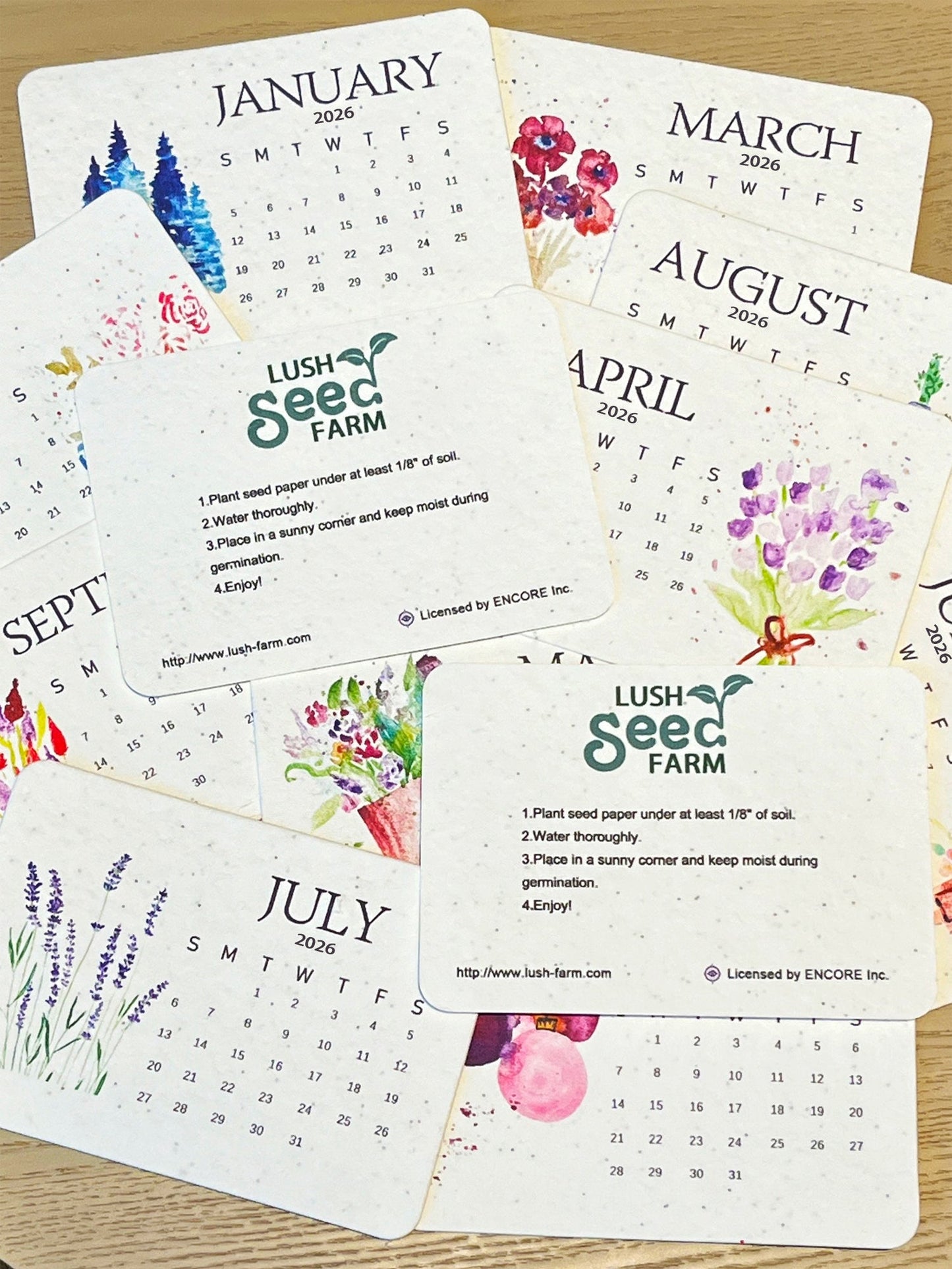 ✨Novedades con 49% de descuento hoy🌱Calendario de siembra de semillas de amor ecológicas para 2026-ES