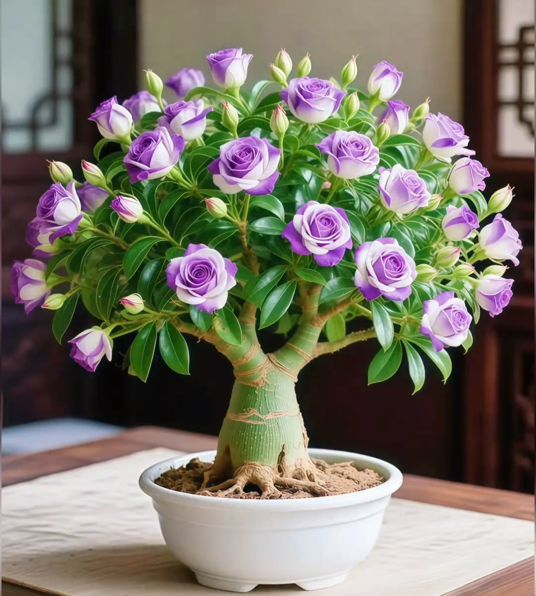 🌵 Haruldased kõrberoosi seemned 🌺 Lihtne kasvatada-EE