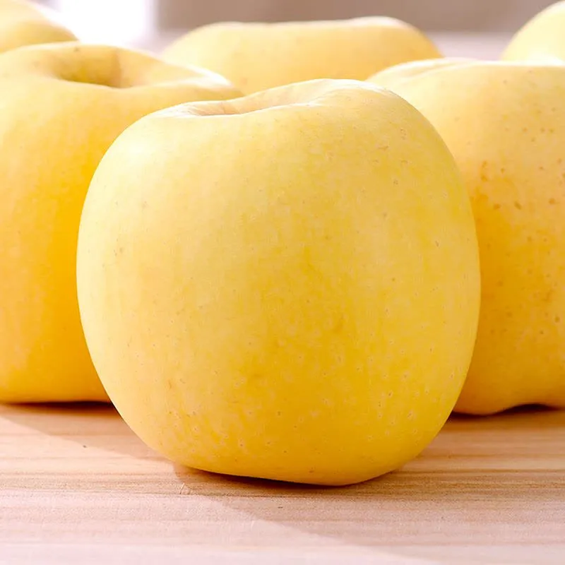 Semillas de manzana dorada, tasa de supervivencia del 90%-ES