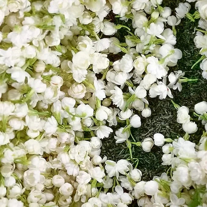 PASKUTINĖS DIENOS akcija – 35 % NUOLAIDA 🌸 Vazoninis augalas su jazminais (🌱Išlikimo garantija: nemokami pakeitimai🌿)-LT