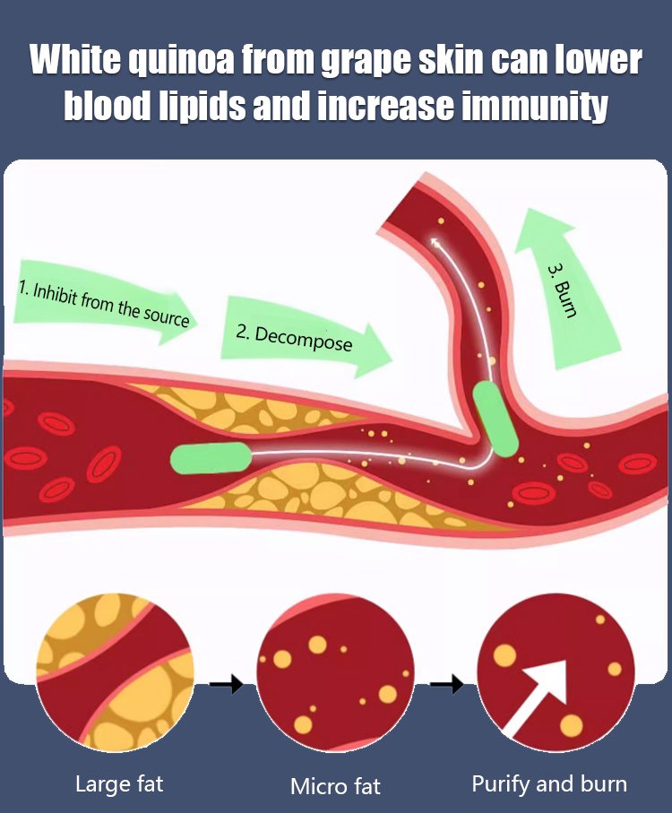 Σπόροι σταφυλιού Queen Nina με φυσική γεύση κρασιού-GR