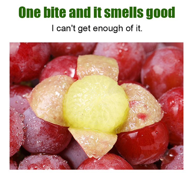 Σπόροι σταφυλιού Queen Nina με φυσική γεύση κρασιού-GR