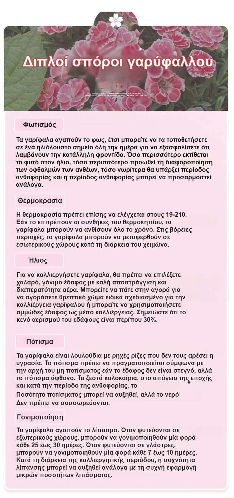【Τέσσερις εποχές ανθίζουν】Σπόροι γαρίφαλου διπλού άνθους-GR