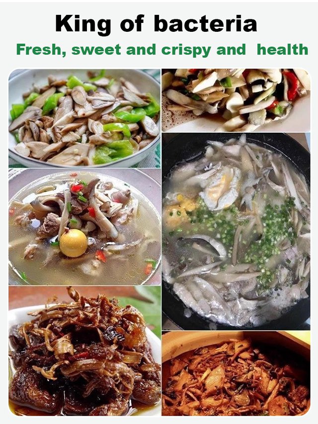 Auténtica variedad de hongo "Jizong"-ES