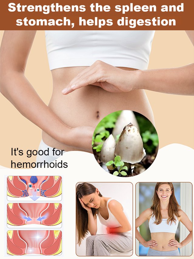 Auténtica variedad de hongo "Jizong"-ES