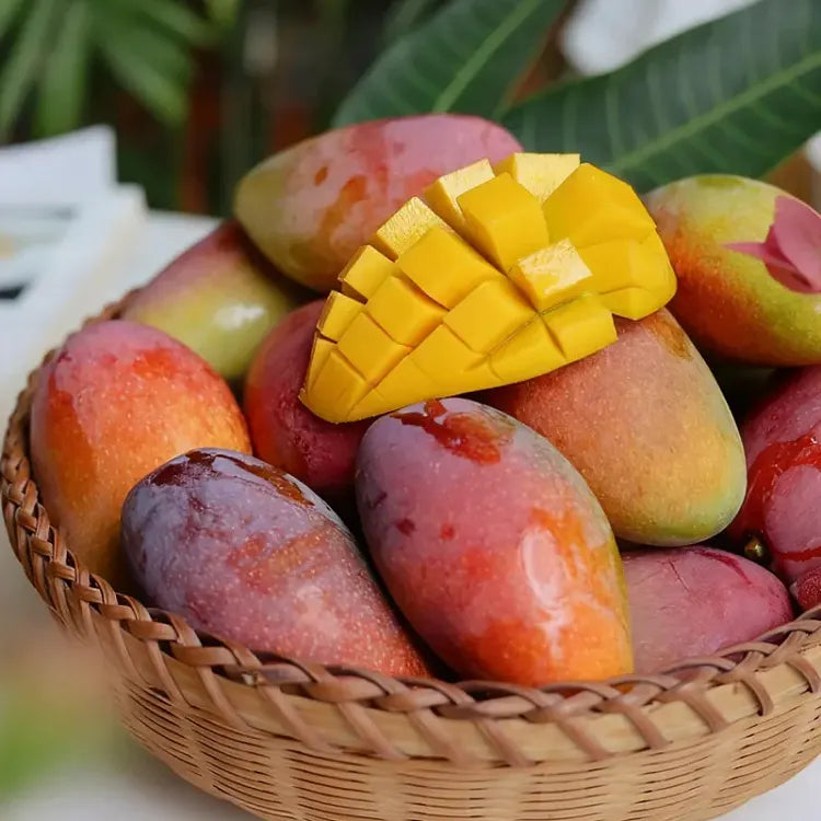 🥭 Plántulas de mango aterciopeladas, dulces y jugosas: ¡siente el sabor del trópico en tu propia casa! 🌴-ES