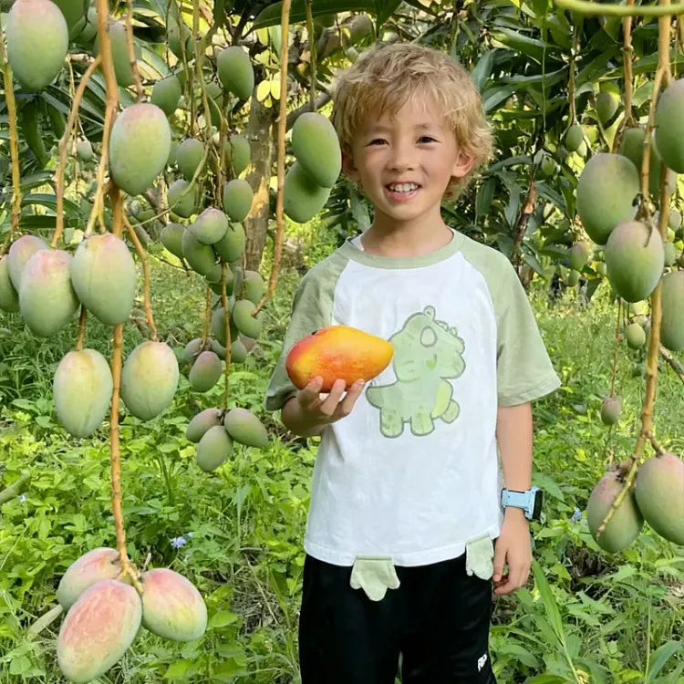 🥭 Plántulas de mango aterciopeladas, dulces y jugosas: ¡siente el sabor del trópico en tu propia casa! 🌴-ES