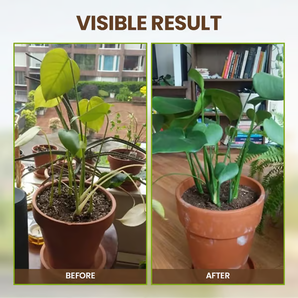 🔥KUPI 1, DOBI 1 GRATIS🔥 Sredstvo za rahljanje tal, ki izboljša lastnosti tal-SI