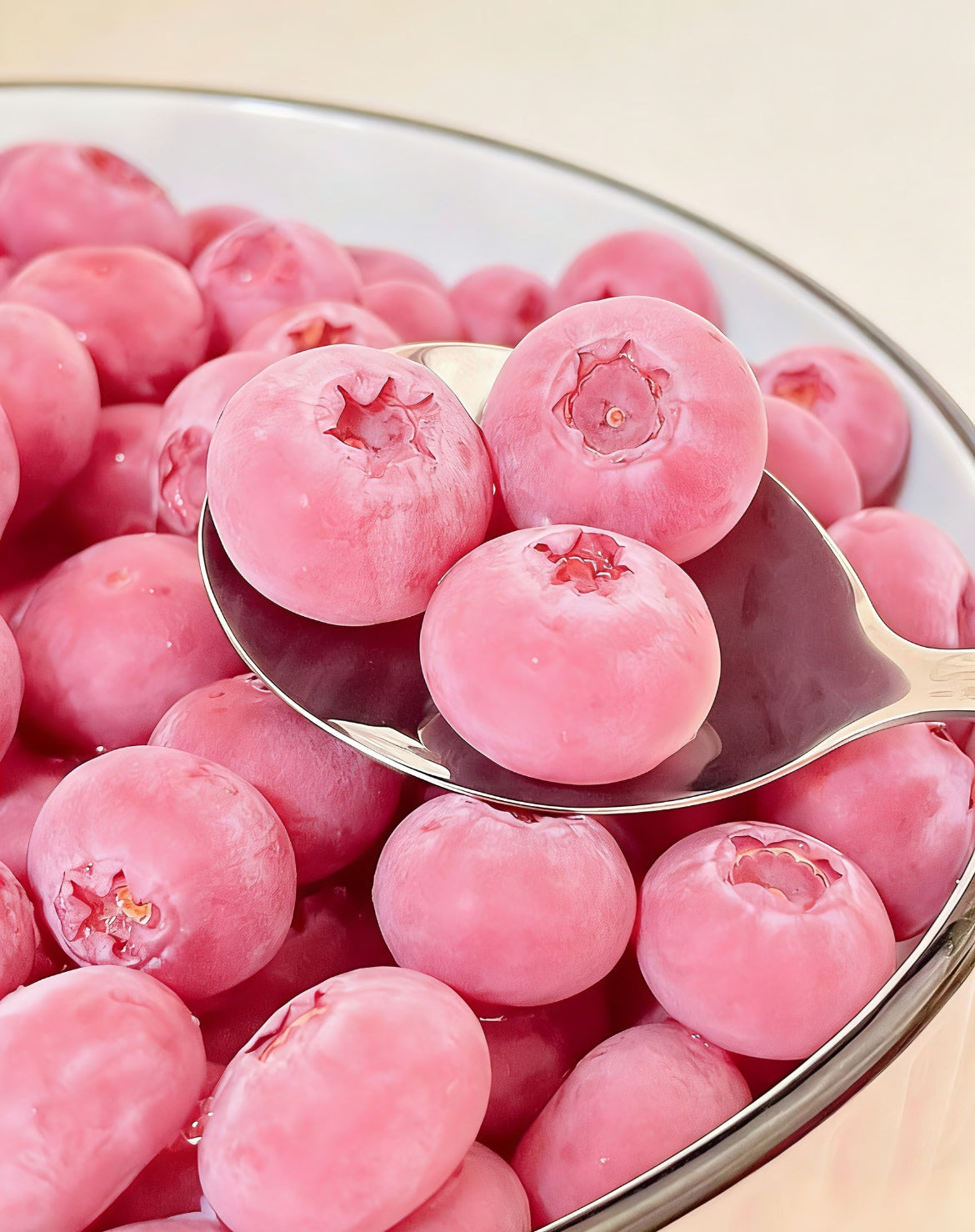 „Pink Bliss“ mėlynių sėklos – dvigubas saldumas-LT