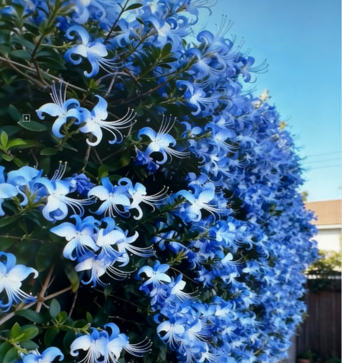 🌌 Lleva el cielo a tu jardín: semillas de flores de mariposa azul-ES