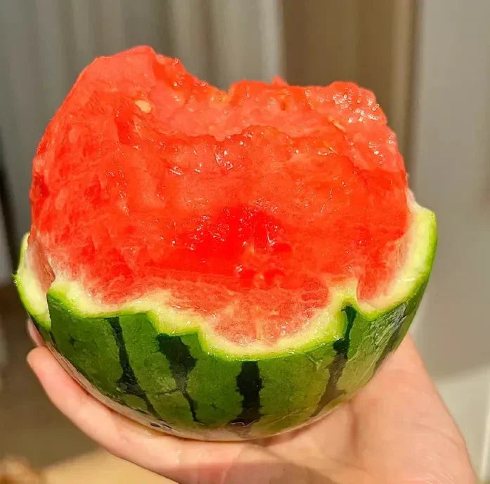 🍉Ankstyvo pavasario raudonasis nefritas – saldus arbūzas, kuris pradžiugins visą šeimą-LT