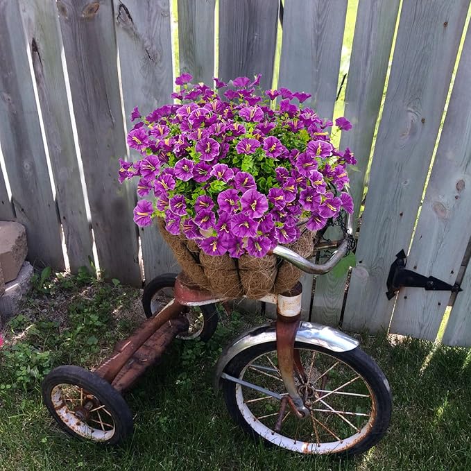 💥Βελτιωμένο υλικό υψηλότερης ποιότητας 🌸Ανθεκτικό στην υπεριώδη ακτινοβολία και μη ξεθωριασμένο ζιζανιοκτόνο (χωρίς γλάστρα)-GR