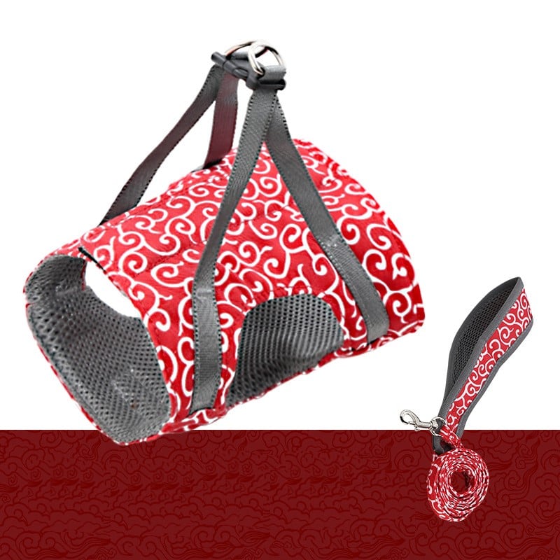 Correa para mascotas con correa para el pecho y cinturón.-ES