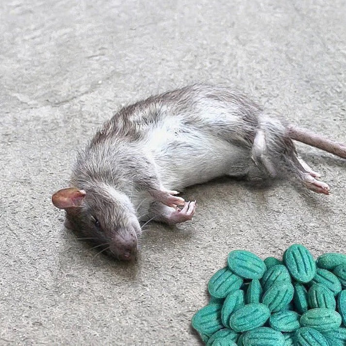 ✨Zelo učinkovita vaba za glodavce✨🔥 KUPI 1, DOBI 1 GRATIS! 🔥-SI