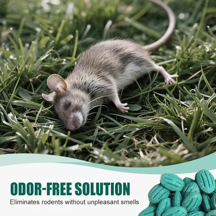 ✨Zelo učinkovita vaba za glodavce✨🔥 KUPI 1, DOBI 1 GRATIS! 🔥-SI