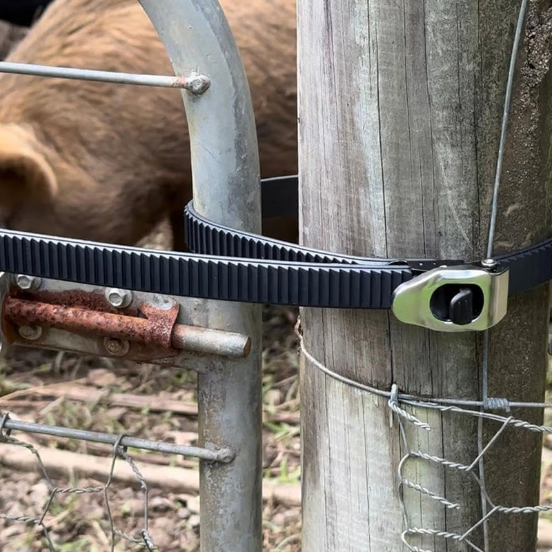 📢📢 50% de DESCUENTO! ✨ Correa de seguridad universal con cerradura: la mejor protección contra robos!-ES