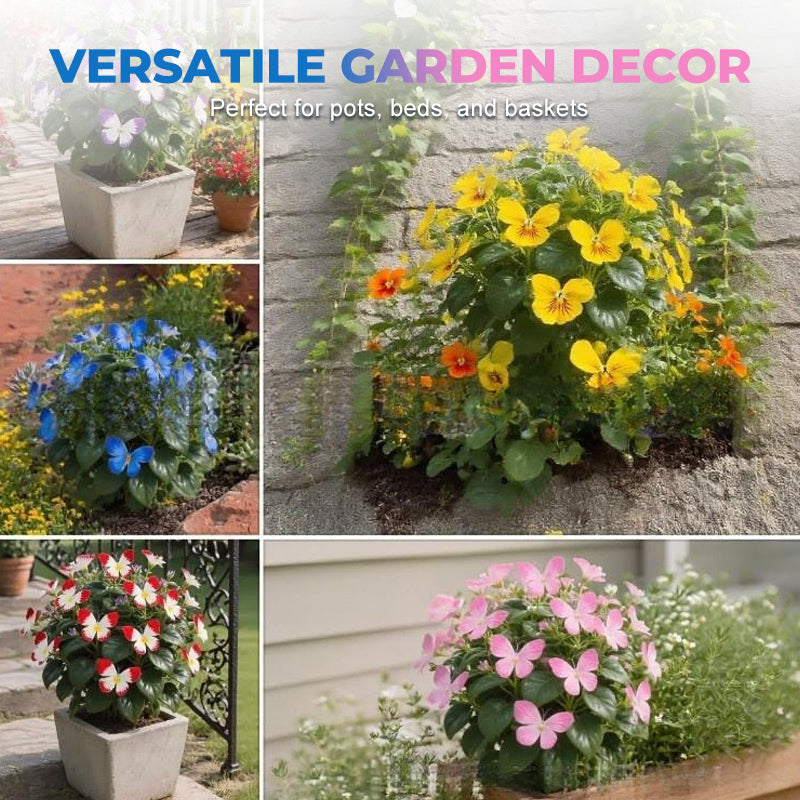 Semillas de flores elegantes con forma de mariposa-ES