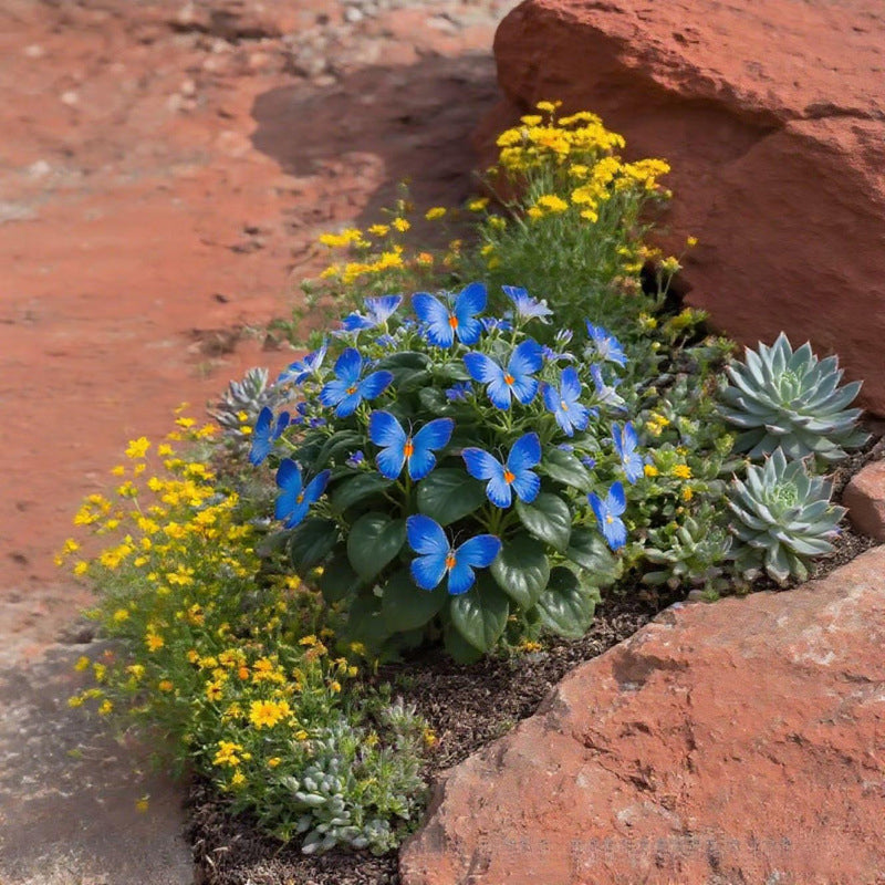 Semillas de flores elegantes con forma de mariposa-ES
