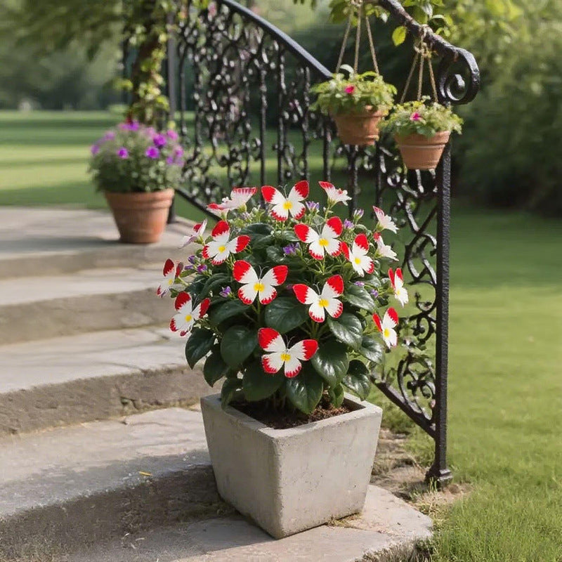 Semillas de flores elegantes con forma de mariposa-ES
